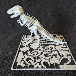 T-Rex Skeleton Kit Card